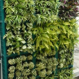 Green wall 2